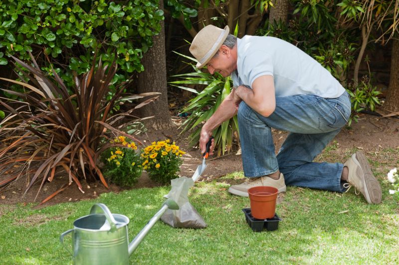 Landscaping Installation Service