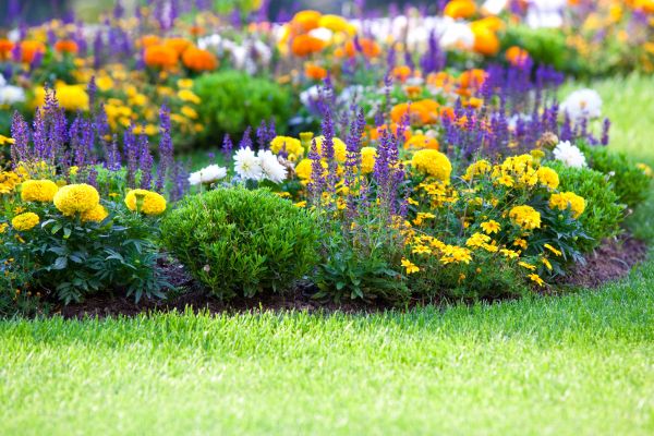 Flower Bed Maintenance in Madison