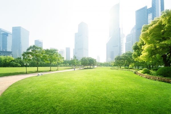 Commercial Landscape Maintenance in Madison