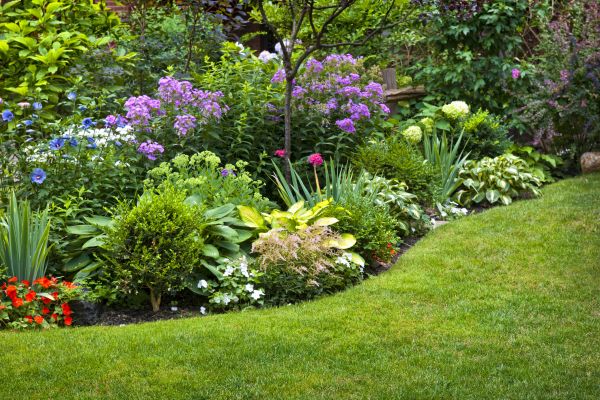 Flower Bed Service in Madison