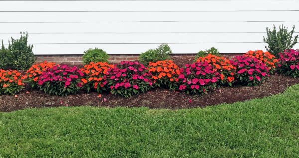 Flower Bed Weeding Service in Madison
