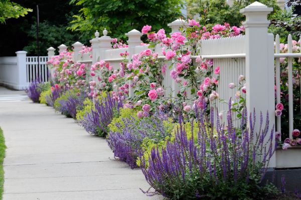 Garden Handyman Service in Madison
