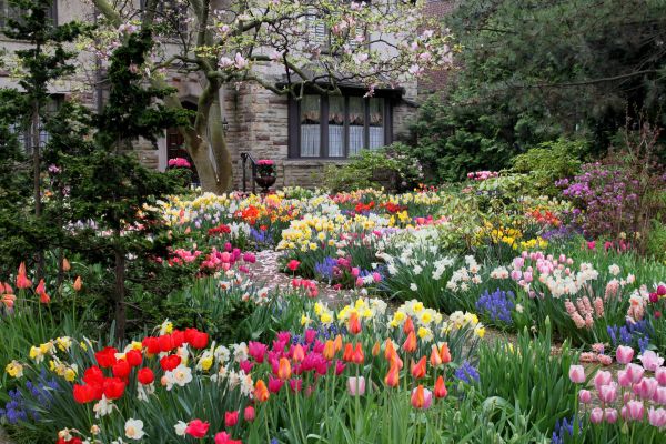 Garden Maintenance Service in Madison