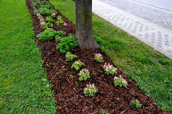 Mulch Replacement Service in Madison