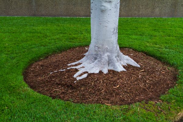 Brown Mulch Installation in Madison
