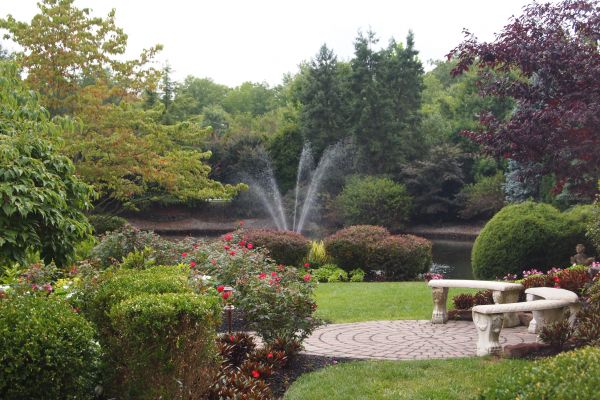 Courtyard Design Service in Madison