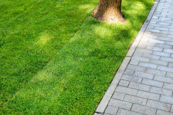 Border Stone Installation in Madison