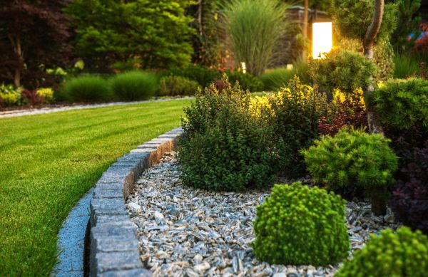 Landscaping Service in Madison