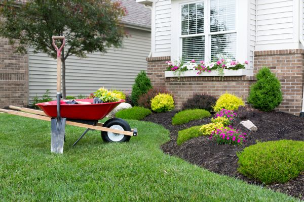 Tree And Shrub Planting in Madison