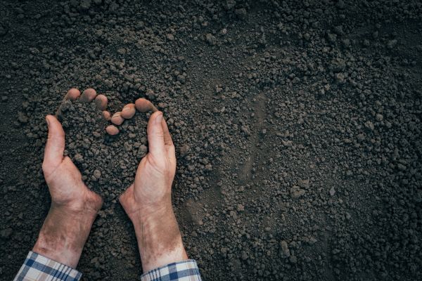 Soil Installation in Madison