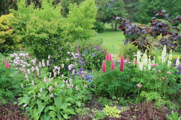 Flower Bed Planting in Madison