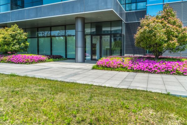 Office Landscaping Design in Madison