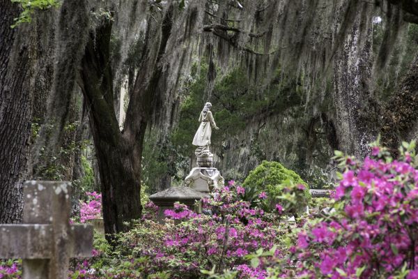 Cemetery Landscaping in Madison