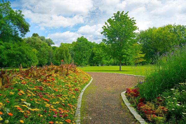 Park Landscaping in Madison