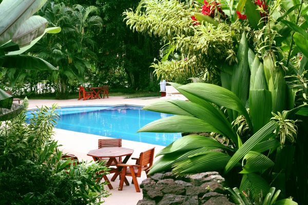 Tropical Garden Landscaping in Madison