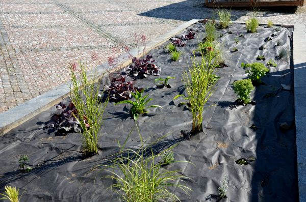 Landscape Fabric Installation in Madison