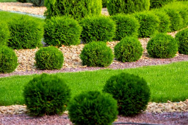Bush Installation in Madison