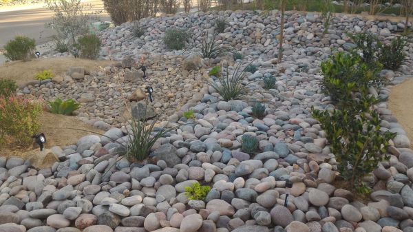 Yard Xeriscaping in Madison