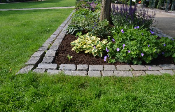 Flower Bed Mulching in Madison