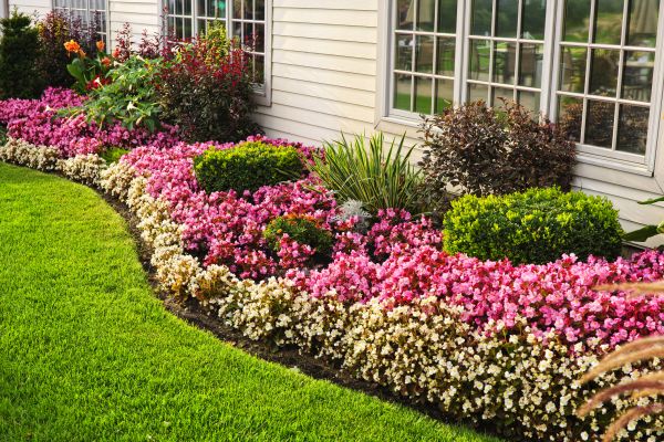 House Landscaping