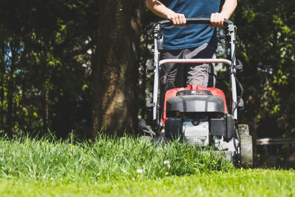 Garden Trimming Service in Madison