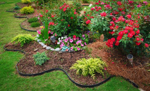 Floral Landscaping in Madison