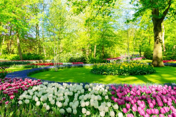 Flower Landscaping in Madison
