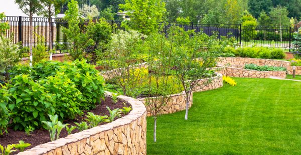 Yard Makeover Service in Madison