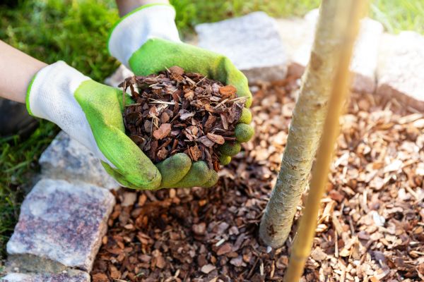 Tree Bark Delivery in Madison