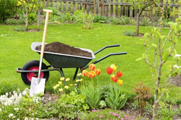 Spring Yard Renovation in Madison