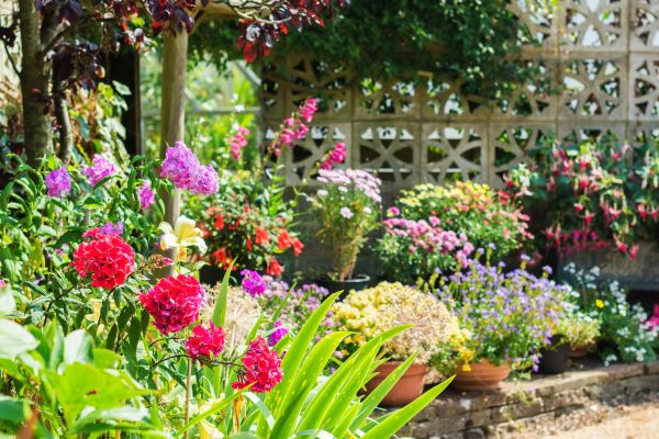Spring Garden Maintenance in Madison