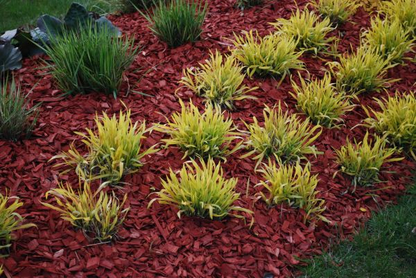 Red Mulch Installation in Madison