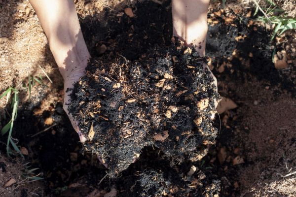 Organic Mulch Installation in Madison