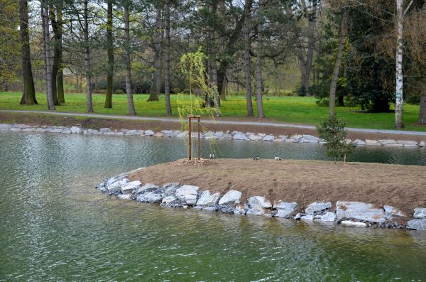 Pond Landscaping Service in Madison