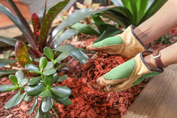 Cedar Mulch Installation in Madison