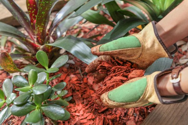 Residential Mulching in Madison
