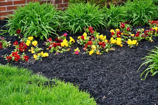 Apartment Mulching in Madison