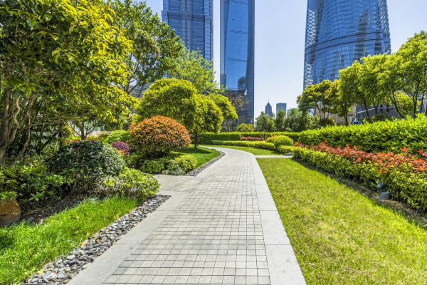 Commercial Landscaping in Madison
