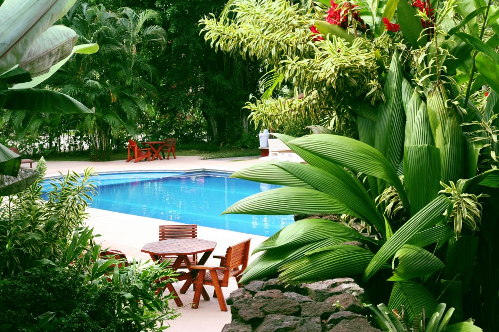 Swimming Pool Landscaping