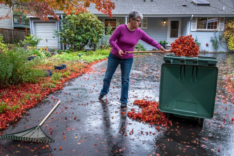 Fallen Leaves on Sidewalk