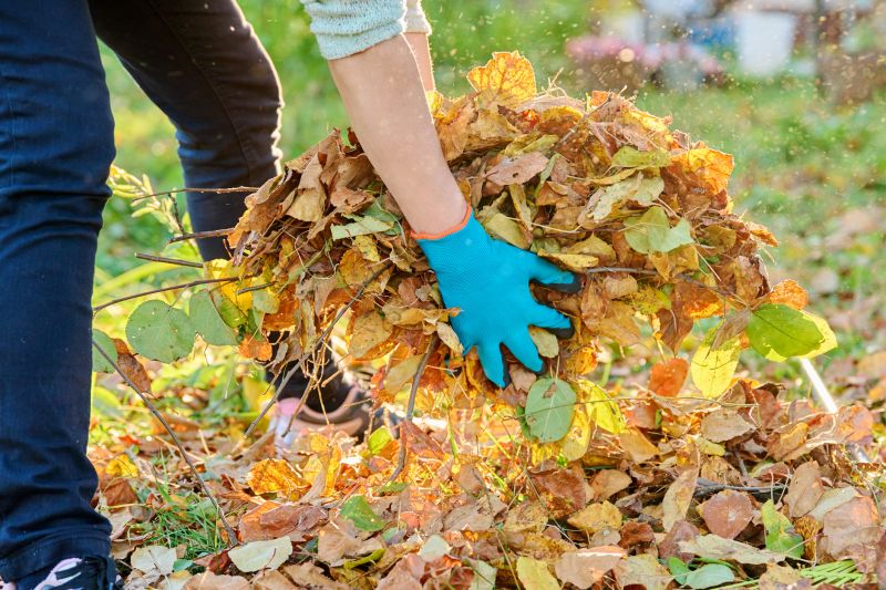 Community Leaf Cleanup Event