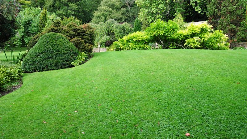 Lawn and Shrubbery