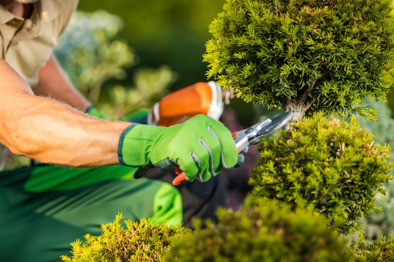 Tree and Shrub Specialists